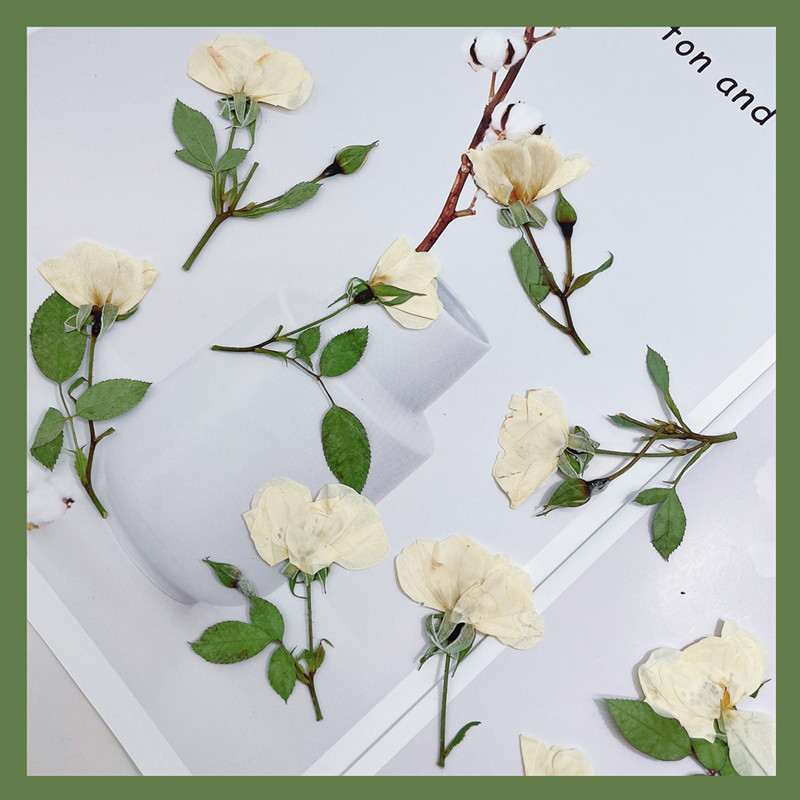 12pcs, Nature White Pink Red R - Wedding Card Box recension och pris